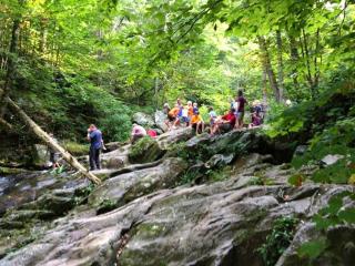 Group in the forest walking over rocks and river stream.