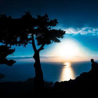 A person sitting on rocks near two trees, all silhouetted in front of a brilliant blue sky and sea with the sun setting.